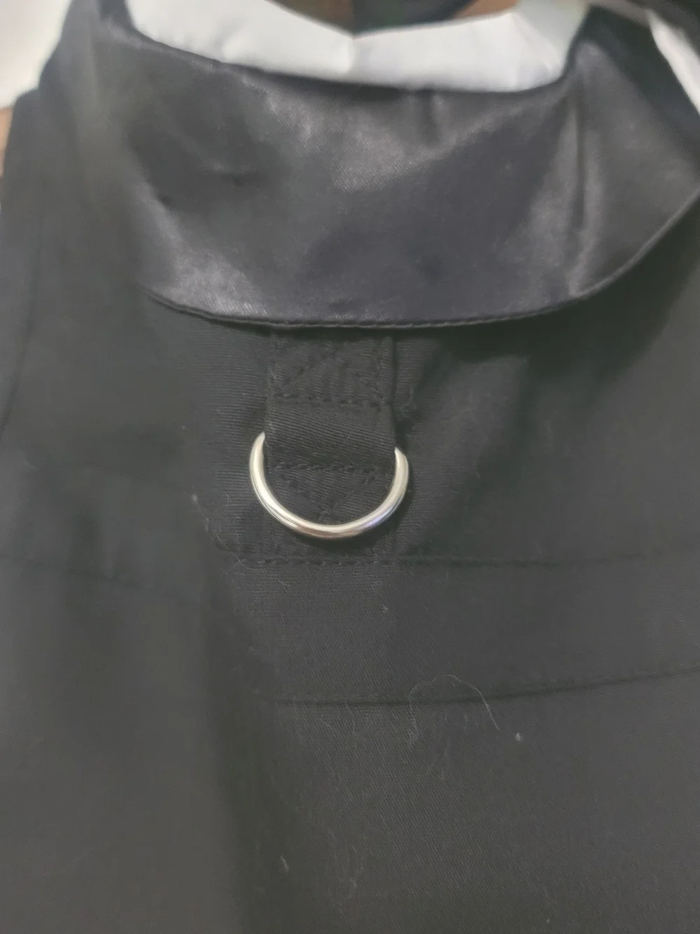 Black Women’s Dog  Tuxedo with Contrast Collar